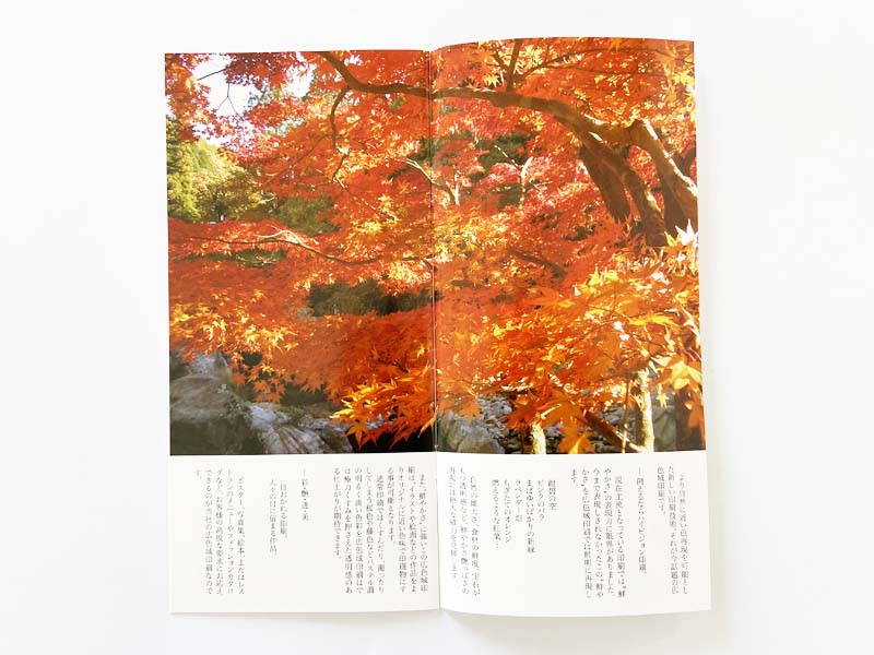 小冊子 本文